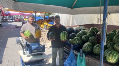 Yerköy ilçesine bağlı Hocaoğlu ve Yamuklar köylerinde yetiştirilen yerli kavun