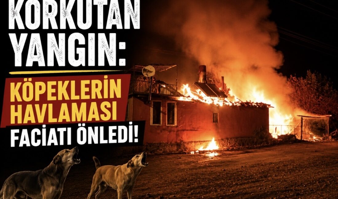 Akçakent ilçesine bağlı Taşoluk Köyü’nde, Akçakent Orman Dairesi’nden emekli şoför