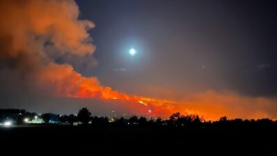 Reno Kenti Yakınlarındaki Orman Yangınında 61 Bin Dönümlük Alan Küle