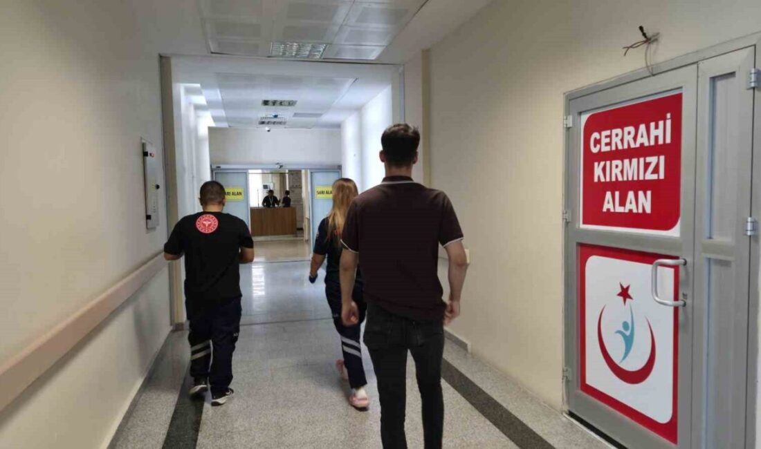 Adıyaman’da bir işletmede çalışan bir işçi, elektrik akımına kapılarak yaralandı.