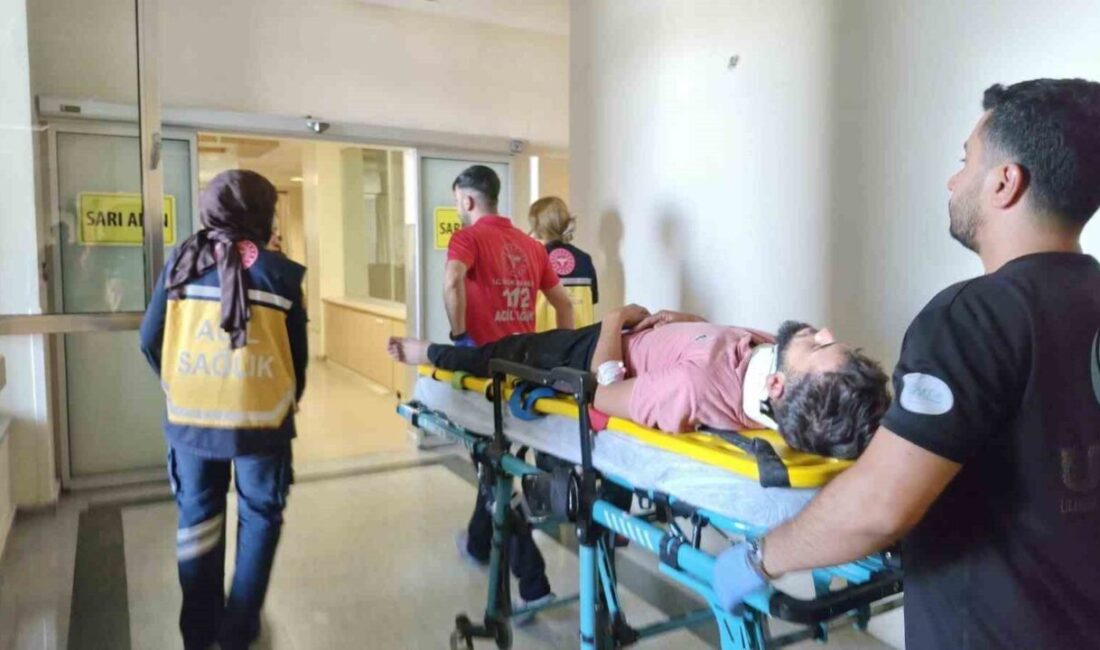 Adıyaman ilinde meydana gelen trafik kazasında 1 kişi yaralandı. Olay,