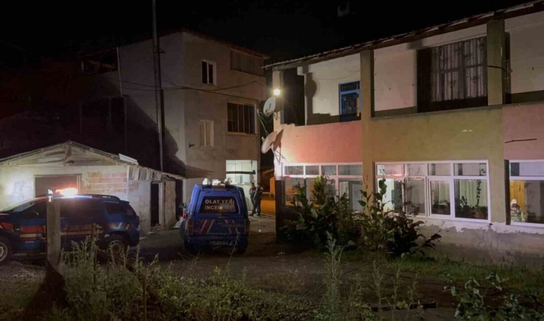 Samsun’un Tekkeköy ilçesinde, ayva ağacının dalının kesilmesiyle başlayan bir tartışma