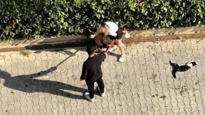 Adana’da, sahibi tarafından tasmalı olmayan bir Pitbull cinsi köpek, sokaktaki