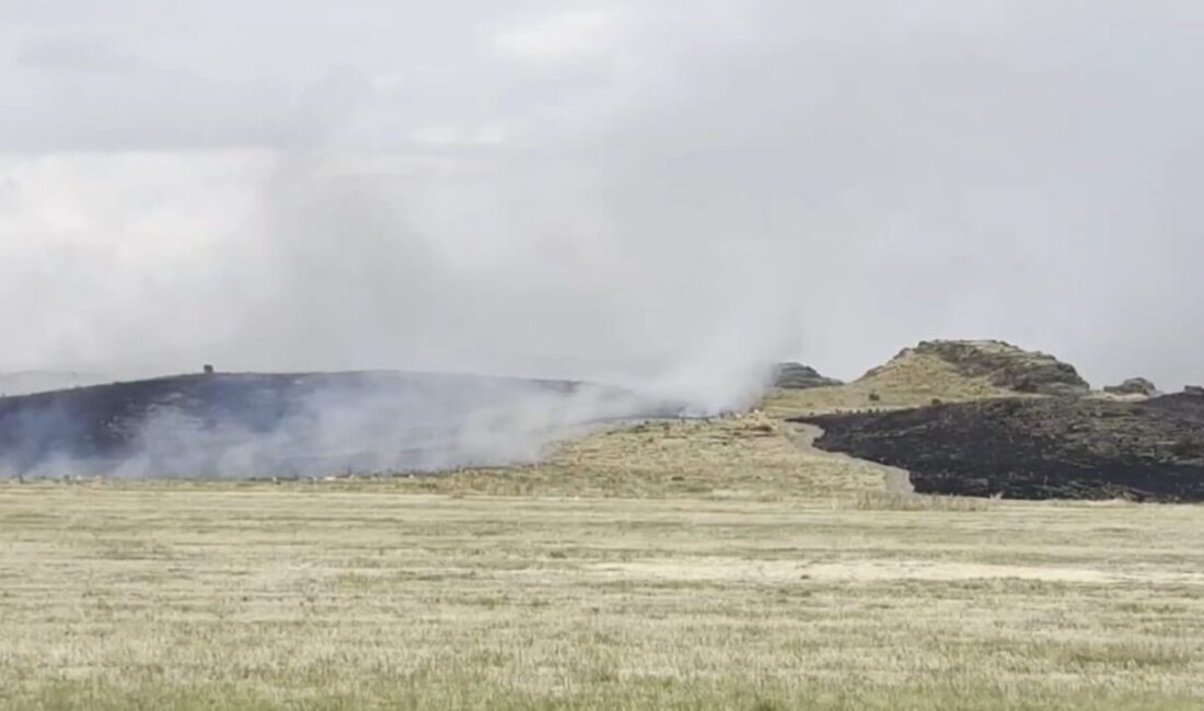 Bitlis’in Ahlat ile Tatvan ilçeleri arasında çıkan yangın, çevre sakinlerini