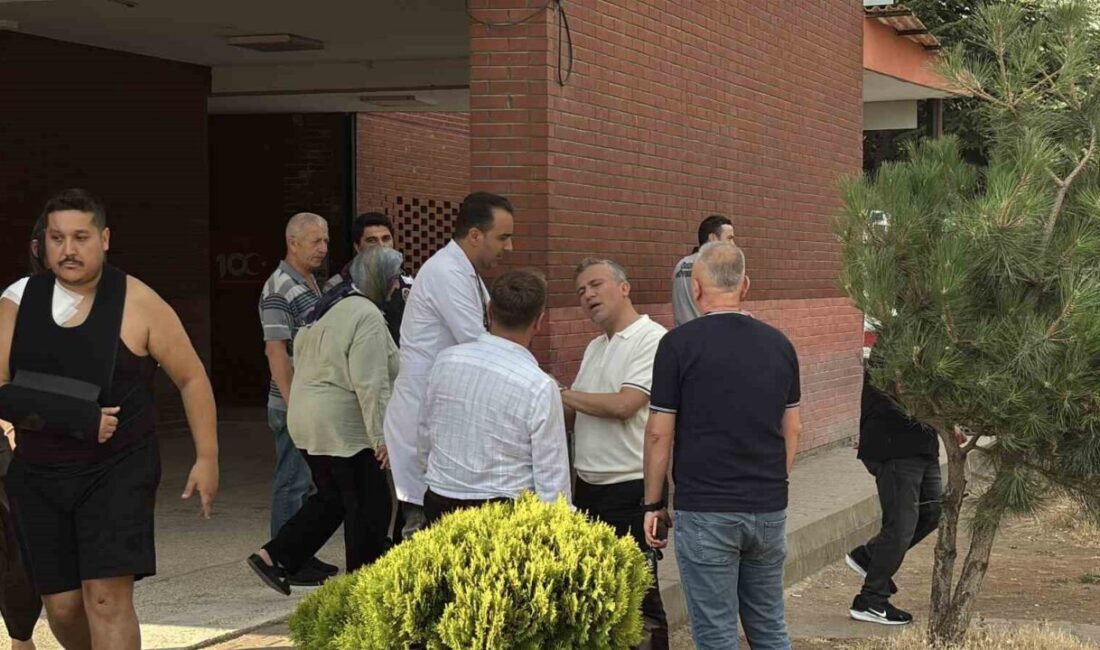 AK Parti Grup Başkanvekili ve Ankara Milletvekili Leyla Şahin Usta’nın