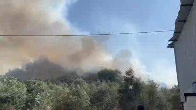 Antalya’nın Aksu ilçesinde meydana gelen ormanlık ve zeytinlik alandaki yangın,