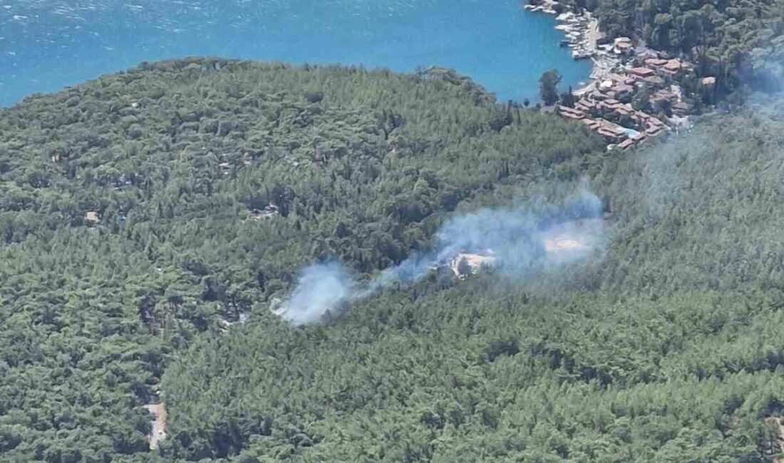 Muğla’nın Ula ilçesine bağlı turistik Akyaka Mahallesi’nde bilinmeyen bir nedenle
