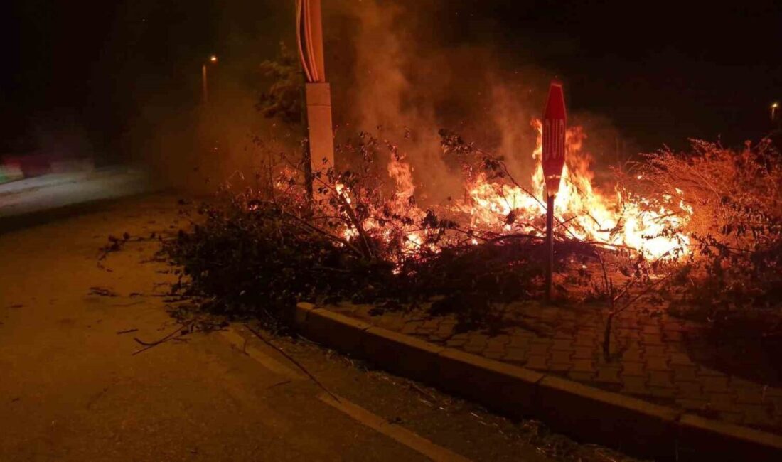 Çorum’un Alaca ilçesinde meydana gelen örtü yangını, itfaiye ekiplerinin hızlı