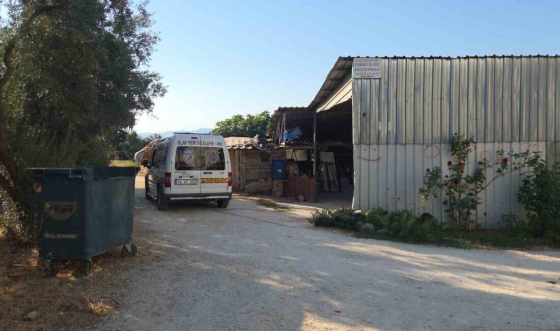 Bursa’nın Orhangazi ilçesinde bir çiftlikte, iddiaya göre alacak-verecek meselesinden kaynaklı