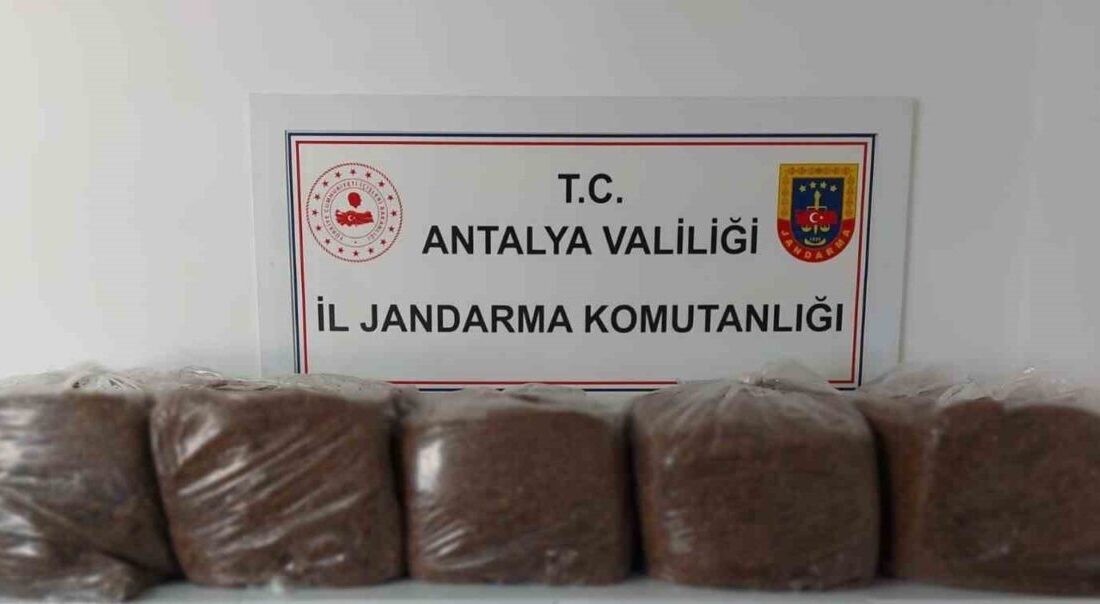 Antalya’nın Alanya ve Demre ilçelerinde jandarma ekipleri tarafından gerçekleştirilen operasyonlarda