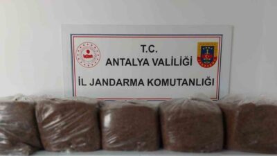 Antalya’nın Alanya ve Demre ilçelerinde jandarma ekipleri tarafından gerçekleştirilen operasyonlarda