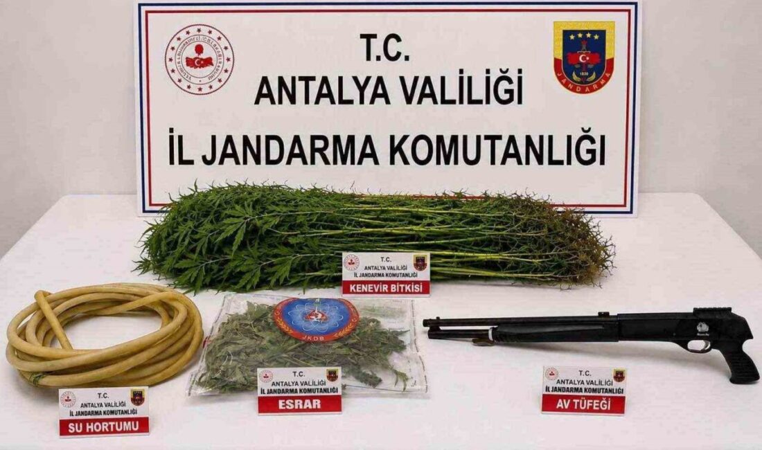 Alanya ilçesinde düzenlenen bir uyuşturucu operasyonunda 290 gram kubar esrar,