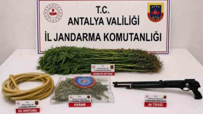 Alanya ilçesinde düzenlenen bir uyuşturucu operasyonunda 290 gram kubar esrar,