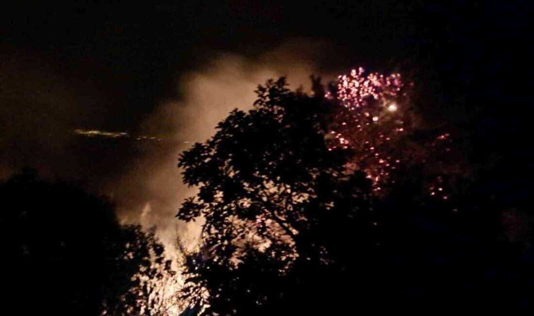 Alanya ilçesinde, gece saatlerinde meydana gelen orman yangını, sabahın erken