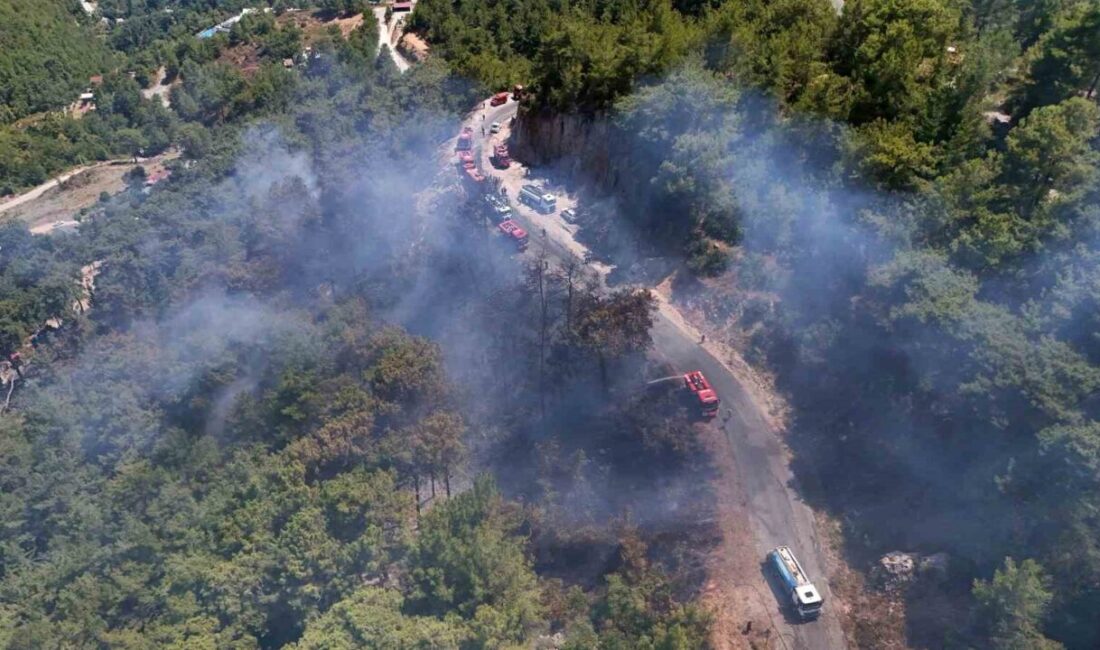 Alanya ilçesinde, Tepe Mahallesi Çaltılılar mevkisinde, henüz belirlenemeyen bir sebepten