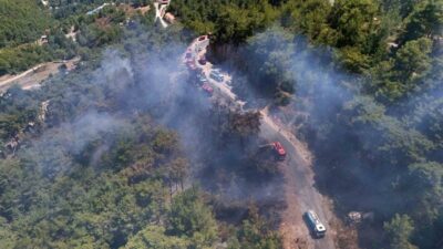 Alanya ilçesinde, Tepe Mahallesi Çaltılılar mevkisinde, henüz belirlenemeyen bir sebepten