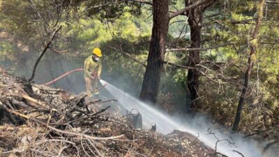 Alanya ilçesindeki ormanlık alanda çıkan yangın, ekiplerin hızlı müdahalesi sayesinde