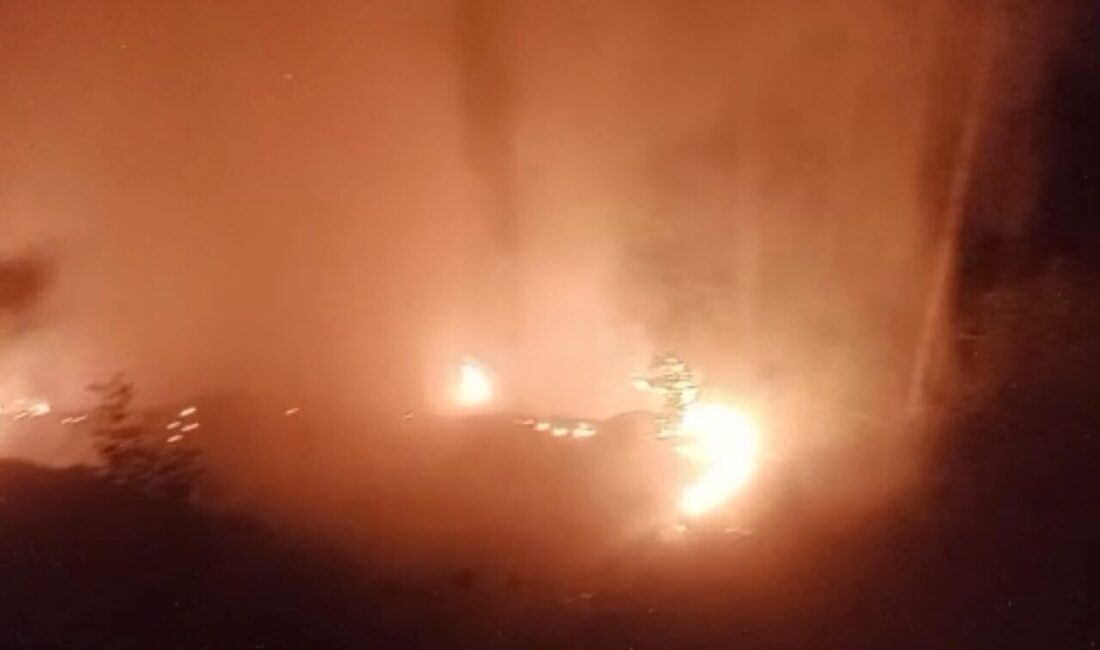 Alanya ilçesine bağlı ormanlık alanda çıkan yangın, ekiplerin 2 saatlik