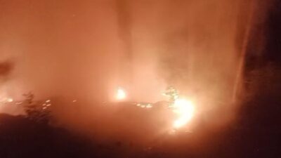 Alanya ilçesine bağlı ormanlık alanda çıkan yangın, ekiplerin 2 saatlik