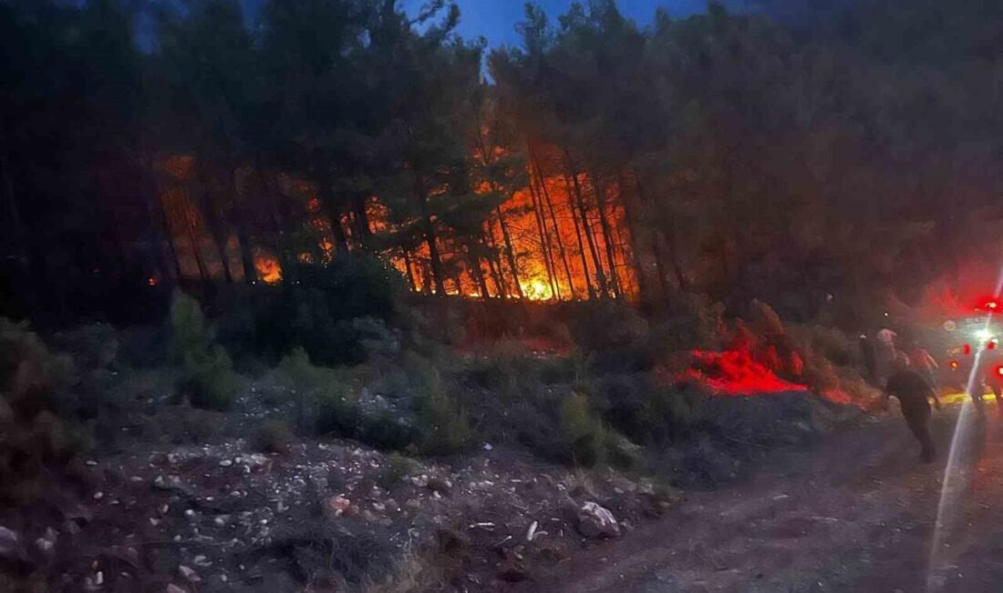 Alanya ilçesinde meydana gelen orman yangını, ekipler ve mahalle sakinlerinin