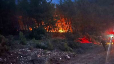 Alanya ilçesinde meydana gelen orman yangını, ekipler ve mahalle sakinlerinin