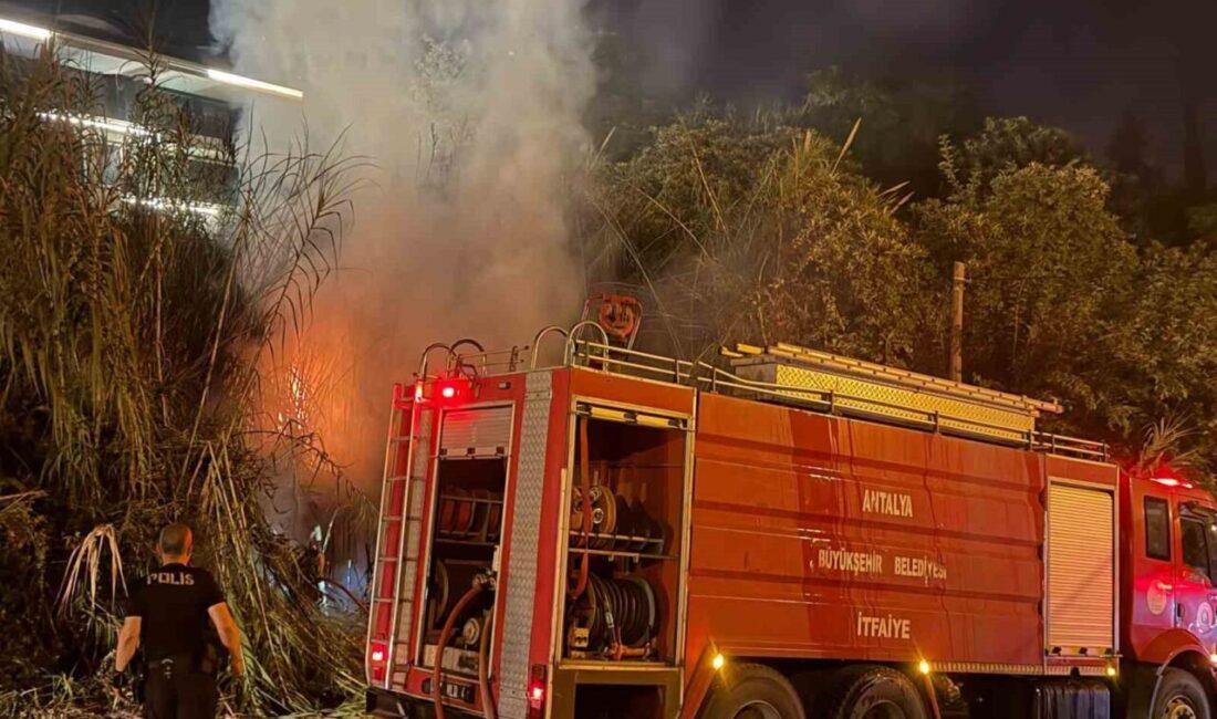 Alanya ilçesinde bir sazlık alanda çıkan yangın, yetkililerin müdahalesiyle kontrol