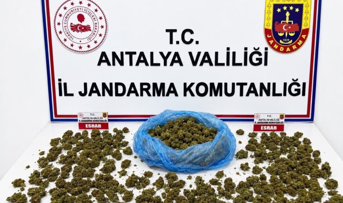 Alanya ilçesinde Jandarma ekipleri tarafından gerçekleştirilen uyuşturucu operasyonunda 745 gram