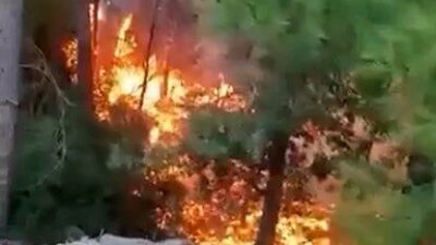 Alanya ilçesinde meydana gelen yangın, yaklaşık 1 dönüm ormanlık alanın
