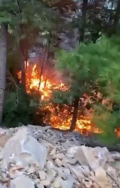 Alanya ilçesinde meydana gelen yangın, yaklaşık 1 dönüm ormanlık alanın