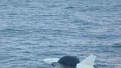 Zonguldak’ın Alaplı ilçesinde, balıkçılar tarafından liman bölgesinde fark edilen bir