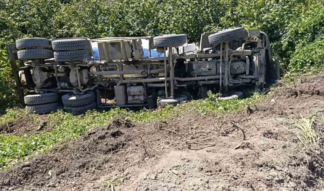 Alaplı ilçesinde meydana gelen trafik kazasında, bir beton mikseri virajı