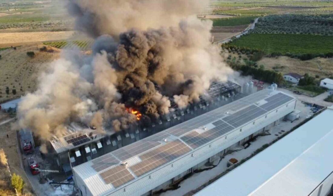 Manisa’nın Turgutlu ilçesindeki DLBA’ya ait yumurta üretim tesisinde meydana gelen
