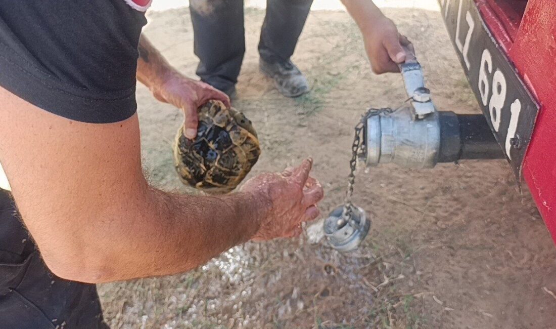 Manavgat ilçesinde, sarp ve dağlık bir arazide başlayan orman yangını,