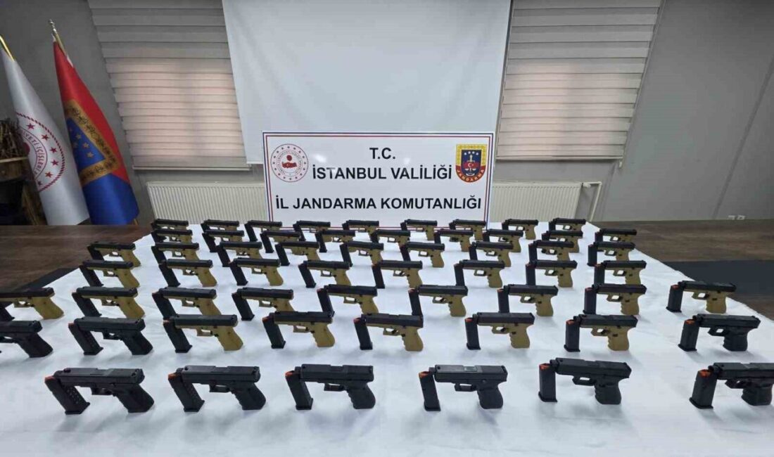 Eyüpsultan ilçesinde silah kaçakçılığı ihbarı üzerine İstanbul İl Jandarma Komutanlığı
