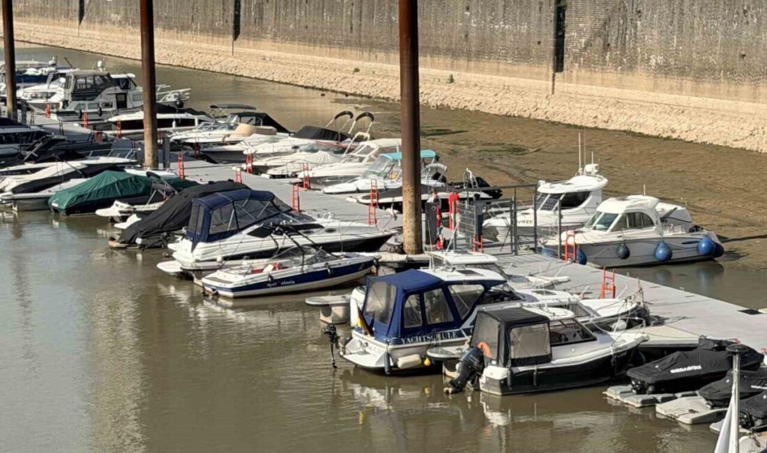 Ren Nehri’nde Tarihi Düşüş: Sıcak Hava Dalgası Su Seviyesini Etkiledi