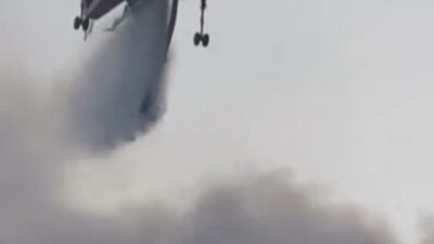 Balıkesir’in Altıeylül ilçesinde Türkali kırsal mahallesine yakın bir ormanlık alanda