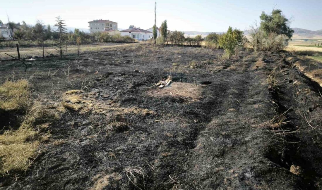 Sivas’ın Altınyayla ilçesinde bir bahçede meydana gelen yangın, hızla büyüyerek