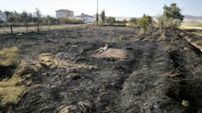 Sivas’ın Altınyayla ilçesinde bir bahçede meydana gelen yangın, hızla büyüyerek