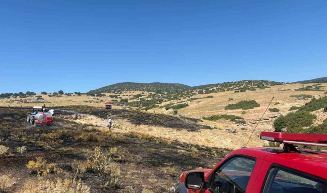 Afyonkarahisar’da Akkuyu köyü yakınlarında meydana gelen anız yangını, itfaiye ekiplerinin
