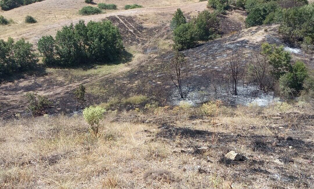 Yozgat’ın Çekerek ilçesinde meydana gelen anız yangını kontrol altına alındı.