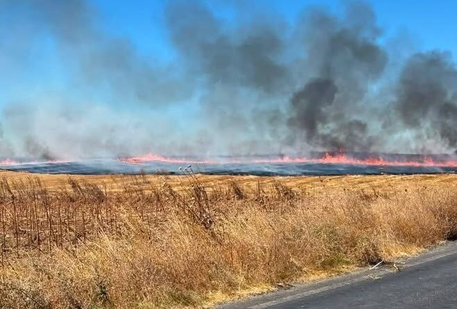 Tekirdağ’ın Hayrabolu ilçesinde meydana gelen anız yangınında yaklaşık 25 dönüm