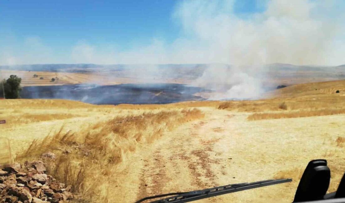 Saraykent ilçesine bağlı Karapınar Mahallesi’nde meydana gelen anız yangını, çevredekilerin