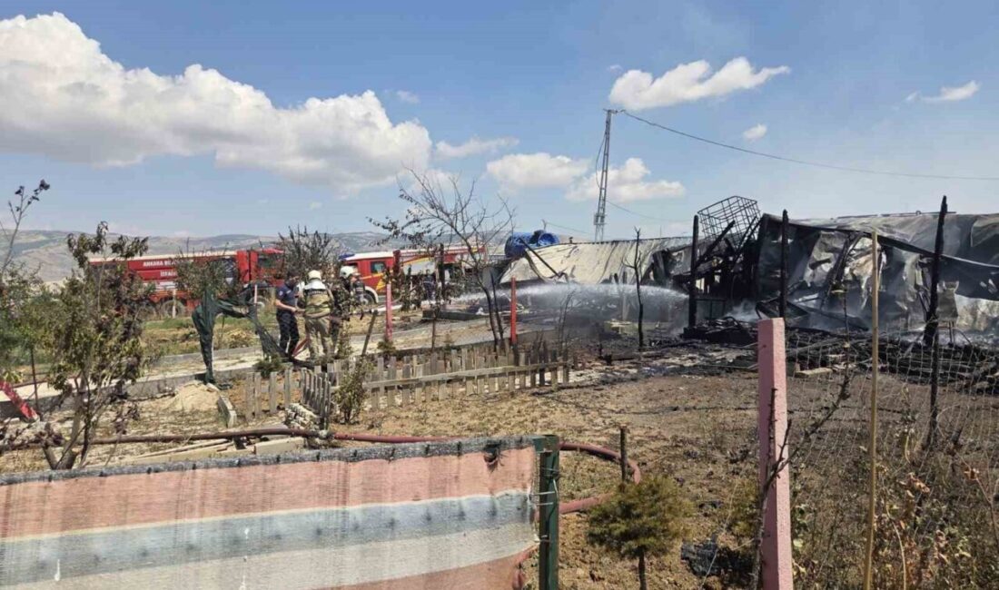 Ankara’nın Elmadağ ilçesinde nedeni henüz belirlenemeyen bir durumdan dolayı 3