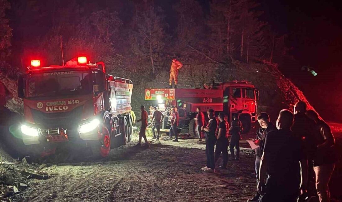 Ankara’nın Nallıhan ilçesinde meydana gelen orman yangını, ekiplerin karadan ve