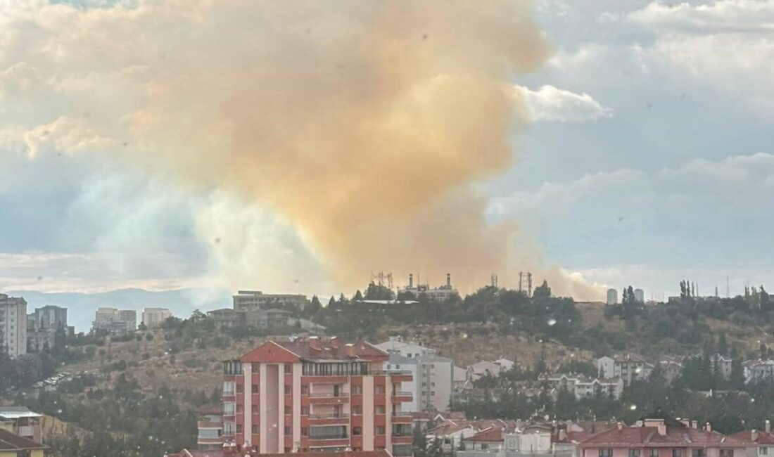 Etimesgut ilçesindeki bir otla kaplı alanda çıkan yangına itfaiye ekipleri