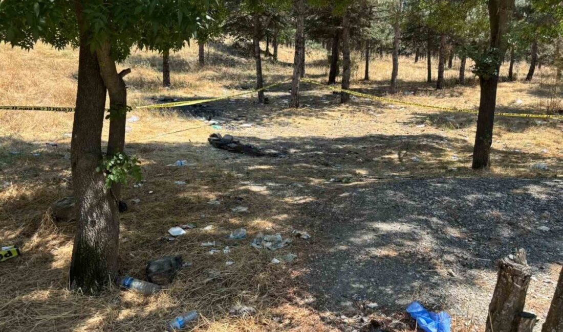 Ankara’da kırsal alanda ölü bulunan bir kadının, erkek kardeşiyle ticari