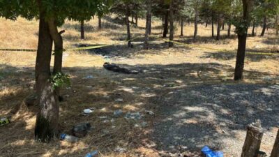 Ankara’da kırsal alanda ölü bulunan bir kadının, erkek kardeşiyle ticari
