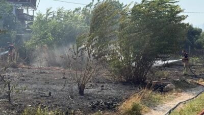 Antakya ilçesindeki bir bahçe alanında çıkan yangın, itfaiye ekiplerinin zamanında