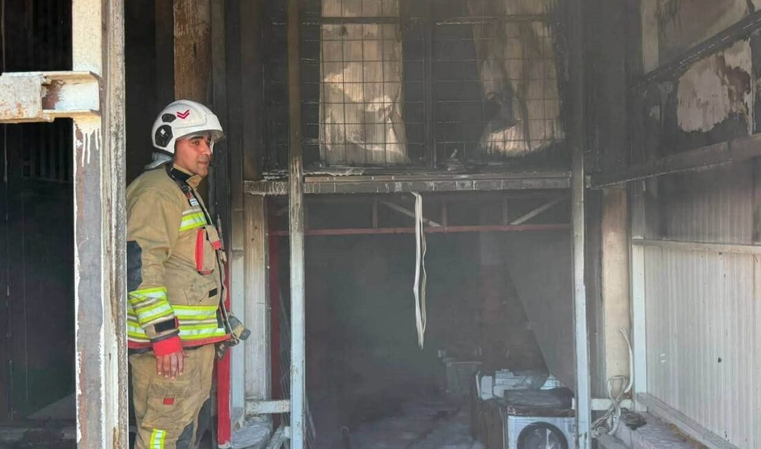 Hatay’ın Antakya ilçesine bağlı Kuzetepe Mahallesi’nde bulunan bir beyaz eşya