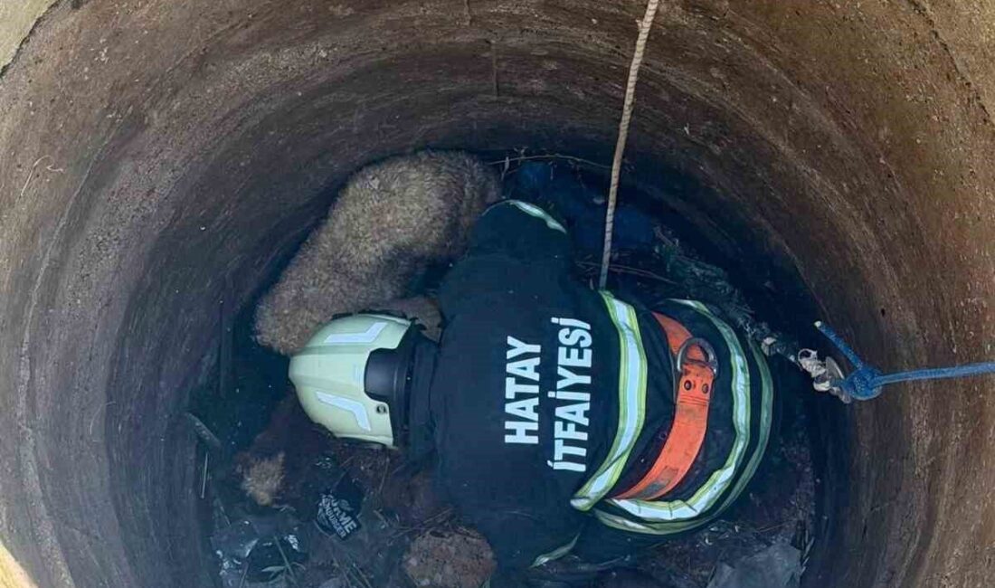 Hatay’ın Antakya ilçesine bağlı Narlıca Mahallesi’nde meydana gelen olayda, 2